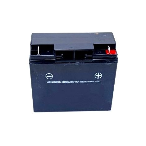118120007/0 - Batterie sèche 12V - 18AH pour Castelgarden / GGP