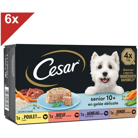 CESAR 24 Barquettes en gelée 4 variétés pour chien senior 150g (6x4)