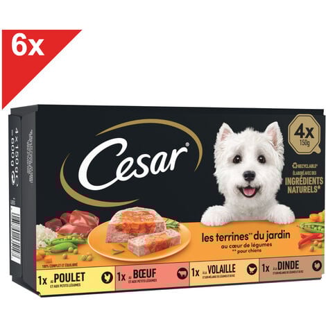 CESAR 24 Barquettes en terrine coeur de légumes pour chien 150g (6x4)