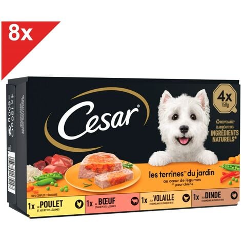 CESAR 32 Barquettes en terrine coeur de légumes pour chien 150g (8x4)
