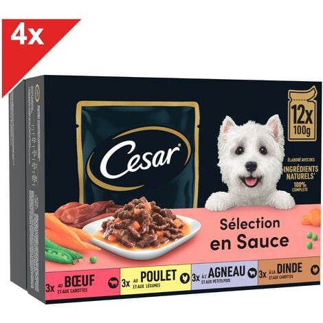 CESAR 48 Sachets fraîcheur en sauce 4 variétés pour chien 100g (4x12)