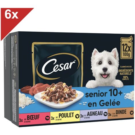 CESAR 72 Sachets fraîcheur en gelée 4 variétés pour chien senior 100g (6x12)