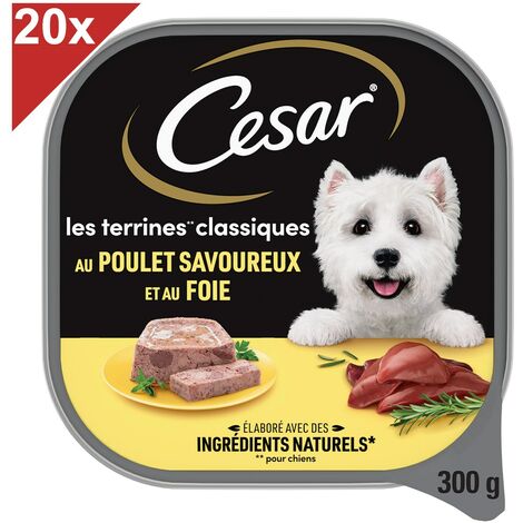 CESAR Barquette poulet en terrine pour chien (20x300g)