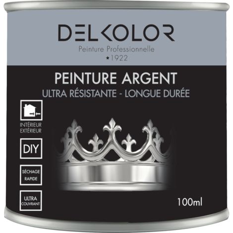 Delkolor Peinture Effet Argent 100ml Couleur: Argent