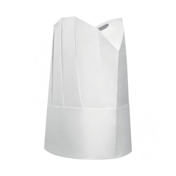 SACHET DE 10 TOQUES VISCOSE ABSORBANTE PLISSEE H 25 CM