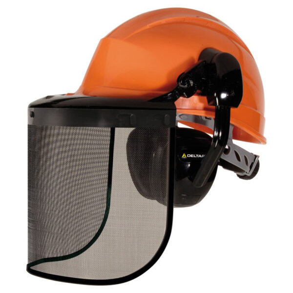 CASQUE COMPLET TYPE FORESTIER