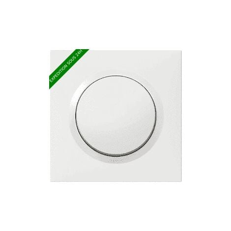Interrupteur ou va-et-vient Dooxie 10AX - 250 V avec plaque de finition blanc