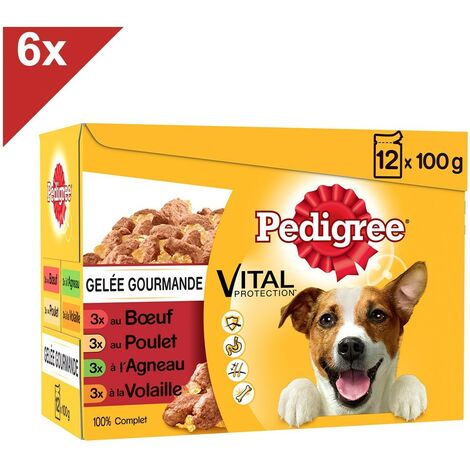 PEDIGREE 72 Sachets fraîcheur en gelée 4 variétés pour chien 100g (6x12)