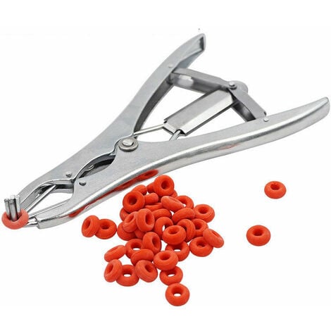 （Pinces à castration flexibles en acier inoxydable pour bovins, porcs et moutons (argent), ceinture 100 anneaux en caoutchouc 21,5 cm