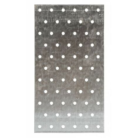 Plaque perforée NP 40x120mm - ep 2mm