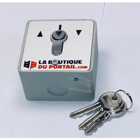 Boîtier Contacteur A Clé Universel Acier En Saillie